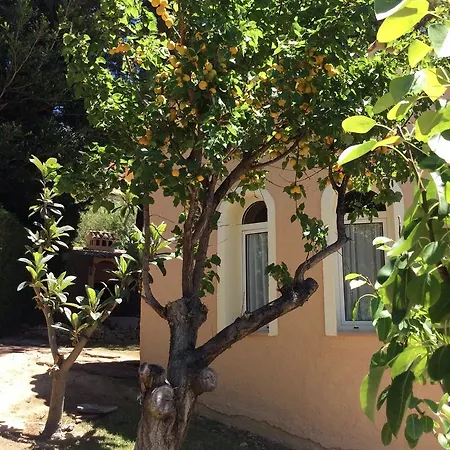 阿乐马尼亚别墅 别墅 阿尔啼